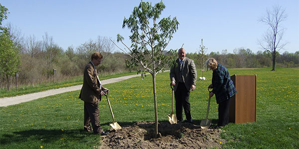 people planting a tree